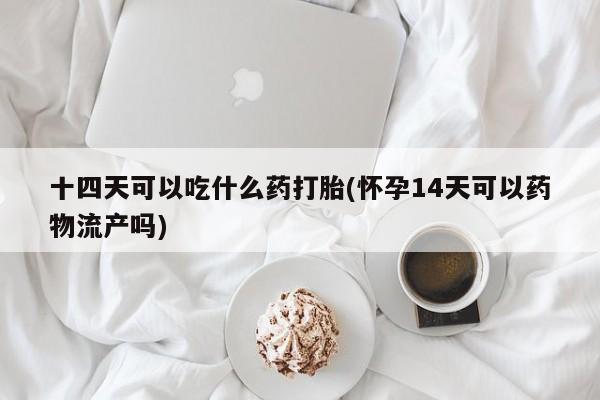打胎药网上购买十四天可以吃什么药打胎(怀孕14天可以药物流产吗)